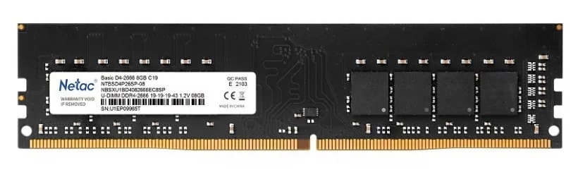 Оперативная память DDR4 16ГБ 3200МГц Netac Basic (NTBSD4P32SP-16)